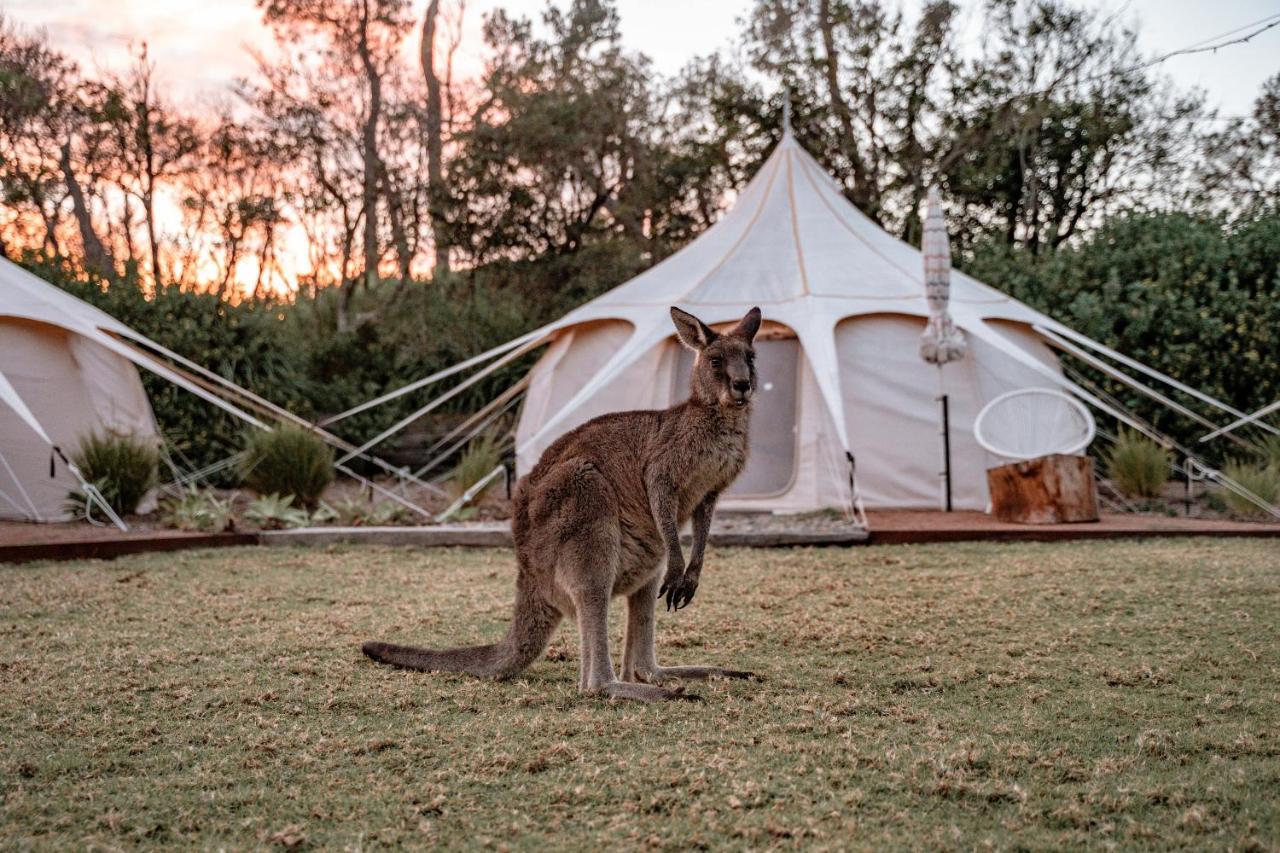 Villa The Cove Jervis Bay Exterior foto